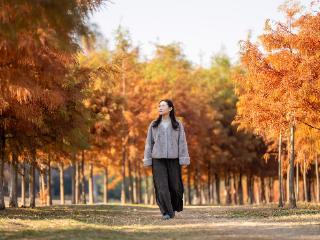 层林尽染！到合肥滨湖方兴湖公园打卡冬日浪漫