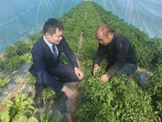 上饶银行鄱阳支行：“贷”来温暖，助力菜农 绘就“致富画卷”