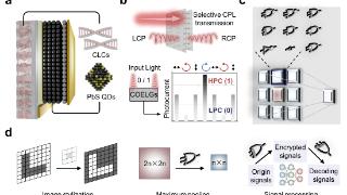 中國科大構建高性能圓偏振光電邏輯門
