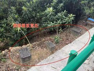 歙县警方破获蜂箱盗窃案 2人被刑拘