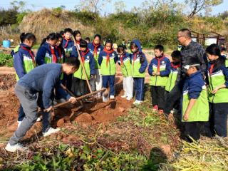江西南丰：劳动亲自然 实践促成长