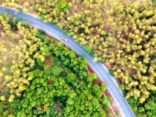 峡江：乡村公路景色美