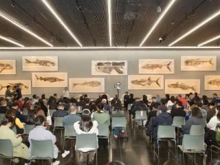 “周京新：有鱼”艺术分享会暨作品捐赠仪式在江苏省美术馆举行