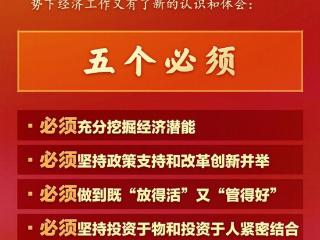 做好新形势下经济工作新认识和体会：五个必须！
