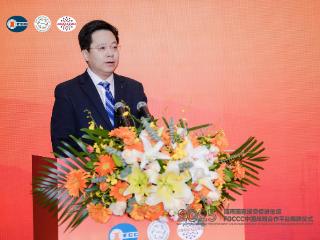 引领中企出海新通道：2025海湾国家投资促进论坛在北京成功举办