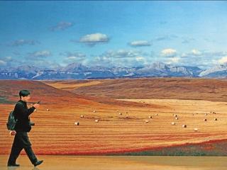 浙江美术馆开启跨年大展