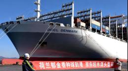 荷兰郁金香种球大规模到港:预计销量6000万枝价格低四成