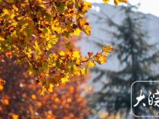 合肥金斗公园换上斑斓盛装