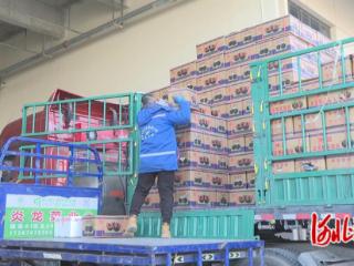 石家庄：应对降温降雪天气 农产品市场供应充足