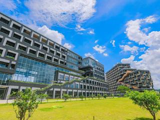 安健科技：“铁三角”战略如何撬动全球DR市场格局