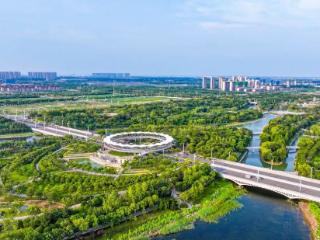 郑州外国语中学、省实验小学将开班授课……中原医学科学城2026年重点项目出炉