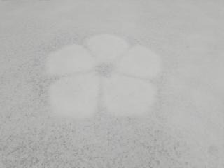 入冬最强降雪，河南成功美颜