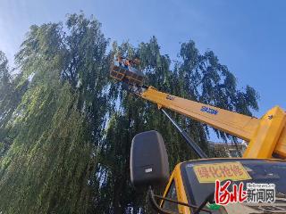 张家口市宣化区深化“吹哨报到”机制贯通基层治理“末梢神经”