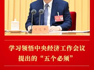第一观察｜学习领悟中央经济工作会议提出的“五个必须”