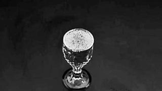 《白酒工艺学》课程教学改革与应用研究