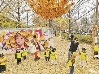 “落叶成诗”，银杏林上演再生艺术