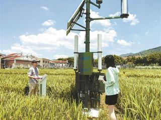 解码厦门气象服务“智变”路径