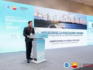 全球@中国|巴基斯坦学者赛义德：中国在绿色能源领域的大量投资 让全球南方受益