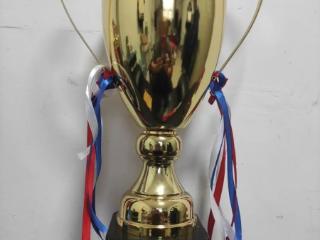 烟台四中学子在省锦标赛勇夺佳绩