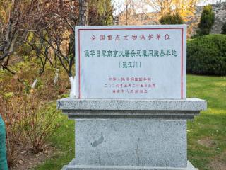 2025紫金草行动主题党日活动走进挹江门丛葬地