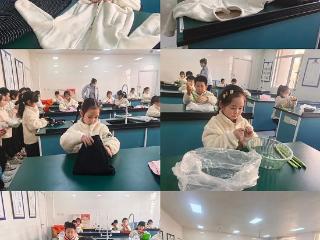 石家庄市栗胜路小学开展十二月劳动技能比赛