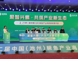 安徽每五条鳜鱼就有一条来自池州！大咖齐聚池州共话鳜鱼产业发展