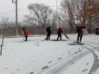 济南市莱芜区雪野街道：雪落雪野暖人心 齐心协力除雪忙
