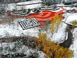 组图｜安徽涡阳雪后美景