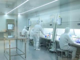 奋战四季度 夺取全年胜丨10个细分行业入选国家级实践样本 浙江加快提升企业数字化水平