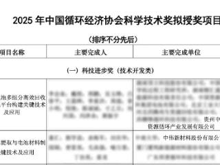 中伟股份锂电材料回收与制备技术获循环科技两项大奖