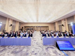 山外在2025“全球南方”国家人社交流活动中展风采