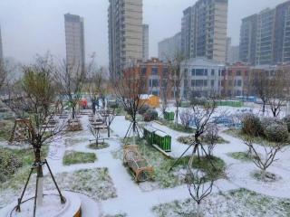 初雪赴约！济南历下一幼宝贝们的午后雪趣时光