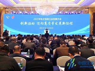 2025年电子信息行业发展大会在盐都举行