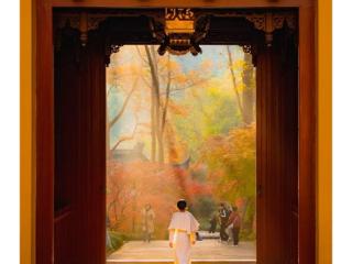 打卡“最美机位”莫忘人文之美