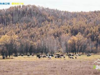 《一起冲锋吧》今日开播，首轮对决一触即发