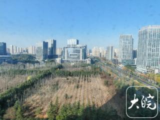 12月20日夜里至21日，安徽将迎雨雪天气