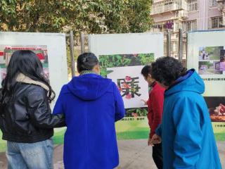 冬日“廉”动进行时 激活治理“廉”动力