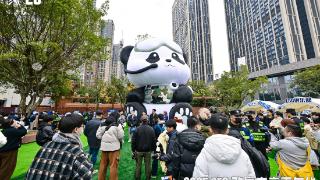 赛事冠军与城市共赢：AG夺冠背后，CF电竞与成都的五年“电竞+”共生路