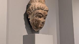 当海外游子遇见故乡佛首：“原来，我们来自同一个地方”