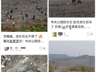 重庆中央公园现“挖宝”热 官方回应系常见化石，已设警戒线市民勿私自开挖