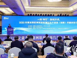 签约5.54亿元 2025安徽省智能网联新能源汽车产业链供需对接会在铜陵举行