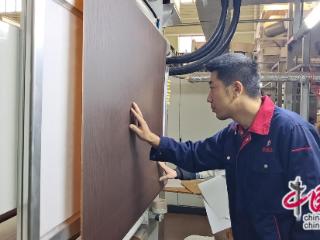 徐州睢宁县：新能源新材料产业的崛起与腾飞