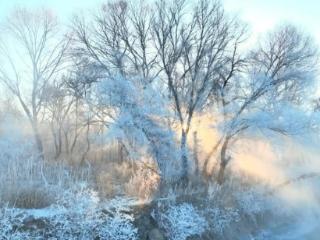 雪落红城 冬韵兴安