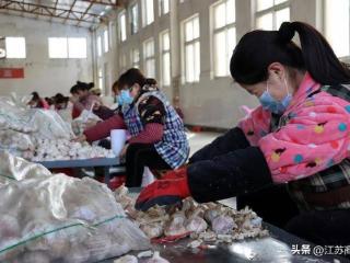 恒丰银行躬耕记：乡村振兴故事里的金融答卷