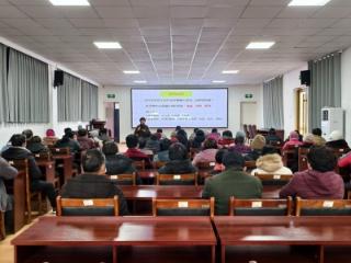 【文化书院】济南市莱芜区寨里镇：深耕家庭教育 筑牢育人根基