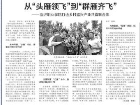 《中国教育报》刊发《从“头雁领飞”到“群雁齐飞” ——临沂职业学院打造乡村振兴产业共富联合体》一文
