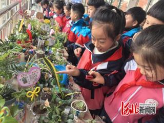 秦皇岛抚宁：校园科技节废旧材料育新绿