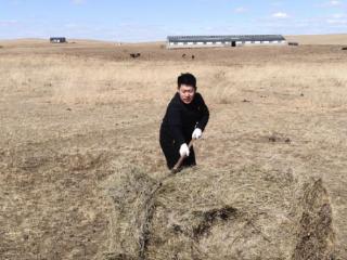 我在边疆当选调生丨当一粒撒哪长哪的草籽