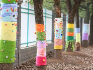 余干县实验幼儿园开展“大树的新衣”编织教育活动