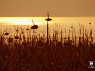 “满减”力度很大！冷空气今天下午起影响浙江